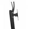Monitor Mount Gembird MS-D2-01 Photo 11