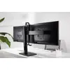 Monitor Mount Gembird MS-D2-01 Photo 15