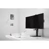 Monitor Mount Gembird MS-D2-01 Photo 16