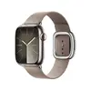 Band Apple 41mm Tan Modern Buckle Photo 2