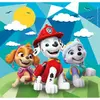 Clementoni Supercolor Paw Patrol puzle 48 detaļas Photo 5
