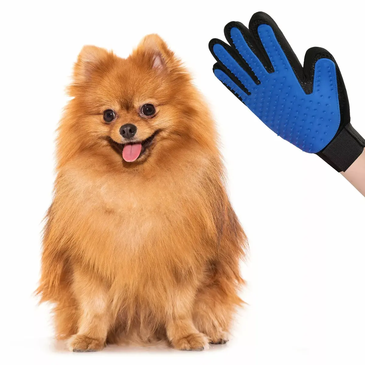 Springos PA0215 Pet Grooming Glove Photo 10