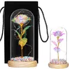 Decorative eternal rose Springos HA5159 Photo 4