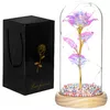 Decorative eternal rose Springos HA5159 Photo 5