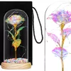 Decorative eternal rose Springos HA5159 Photo 8