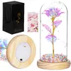 Decorative eternal rose Springos HA5159 Photo 10