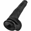 Dildo KING COCK Modelis D-236509 Photo 4