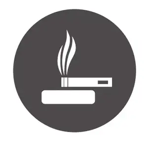 Vigilant smoking detection