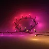 Philips Hue smart string light 929003674402 Photo 2