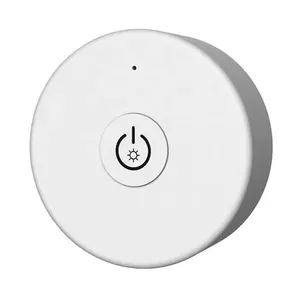SKYDANCE Dimming Remote Control R1-1 — 1 Zone Magnetic wireless dimmer