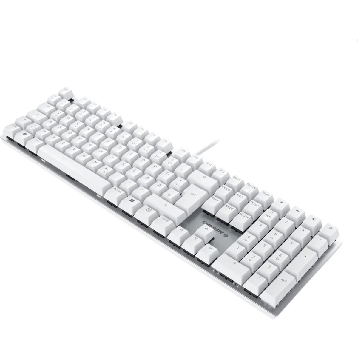 Keyboard CHERRY KC 200 MX Photo 4
