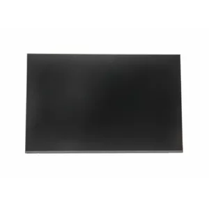 Display Lenovo T16 Gen 2 16.0-inch WUXGA IPS anti-glare panel