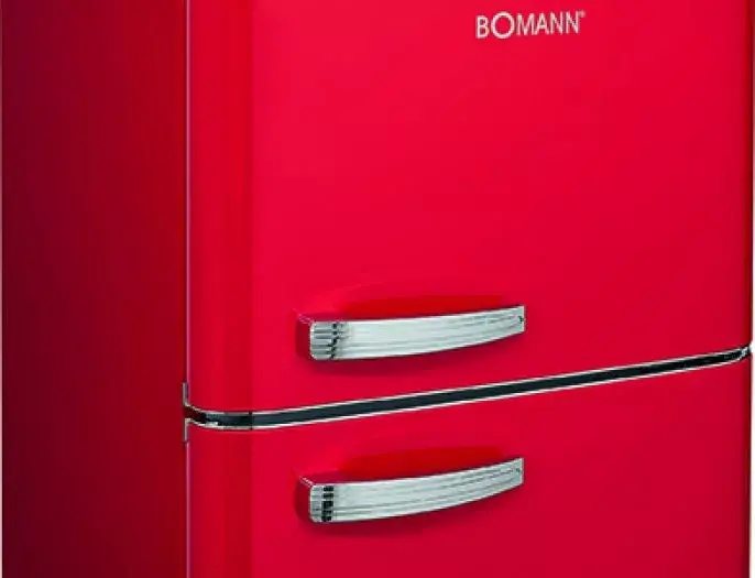 BOMANN DTR 353 freestanding fridge 208 L Photo 4