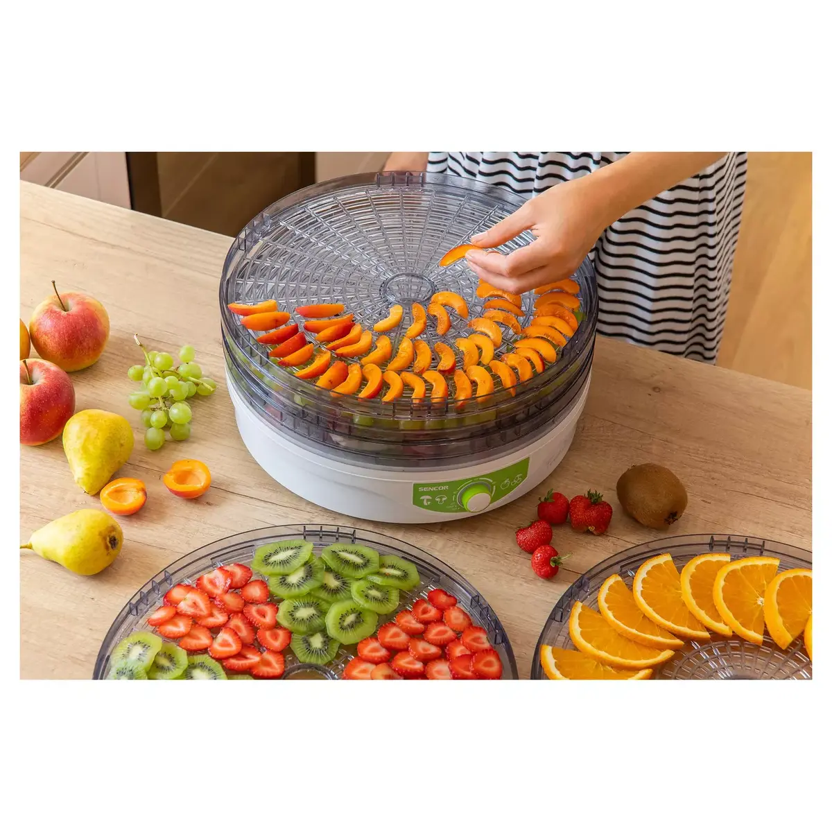 SENCOR SFD 2105WH Food Dehydrator Photo 9