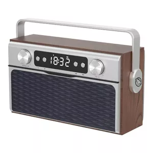Portable radio MANTA RDI917PRO with Bluetooth and USB playback