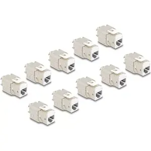 DeLOCK 88119 keystone modulis plakans balts RJ-45 10 gab