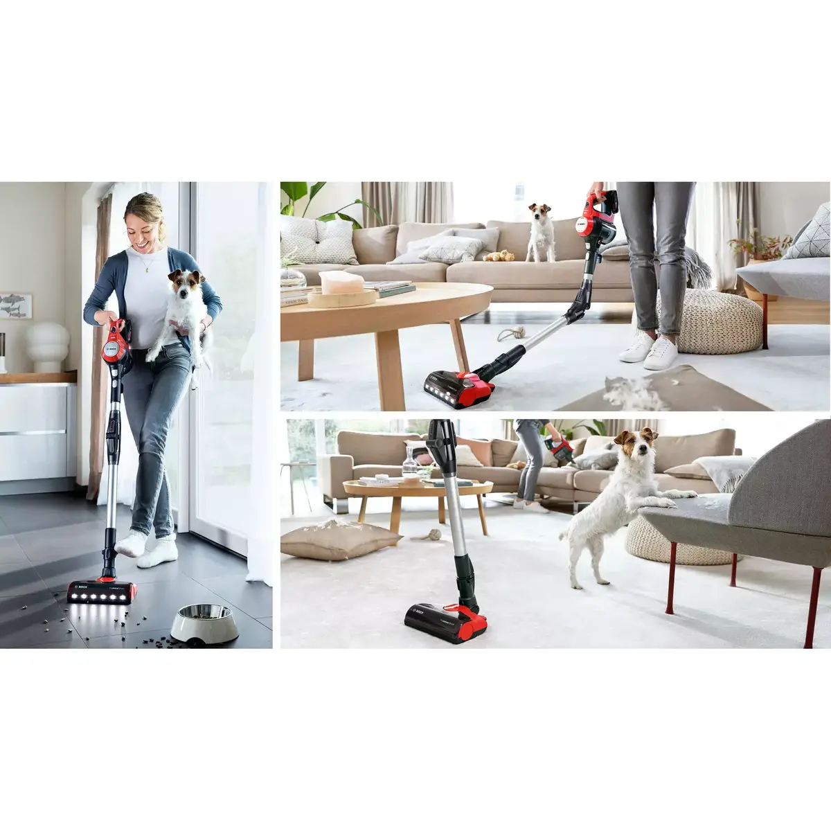 Putekļsūcējs Bosch BCS711PET Photo 5