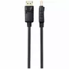 DisplayPort kabelis Renkforce RF-5245266 Photo 2