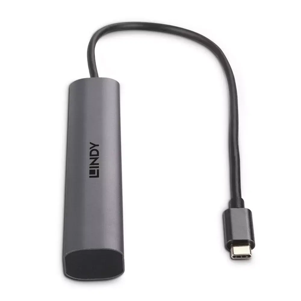 Lindy 4 portu USB 3.2 Gen 2 Type-C centrmezgls Photo 3
