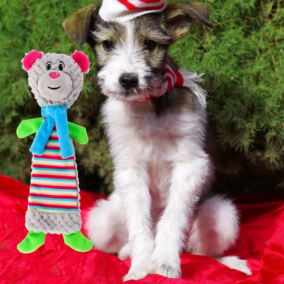 DINGO Teddy Bear Yoko — suņu rotaļlieta 36 cm Photo 5