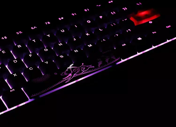 Ducky One 2 Mini RGB tastatūra Photo 8
