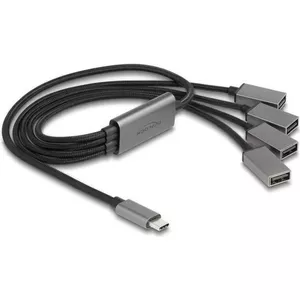 DeLOCK 64210 USB 2.0 Type-C хаб 480 Mbit/s Черный Серый