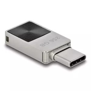 USB Flash Drive DeLOCK 256GB USB-C 3.2 Gen 1 Metal Housing