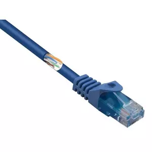 BASETech BT-2270726 networking cable Blue 0.5 m Cat5e U/UTP (UTP)