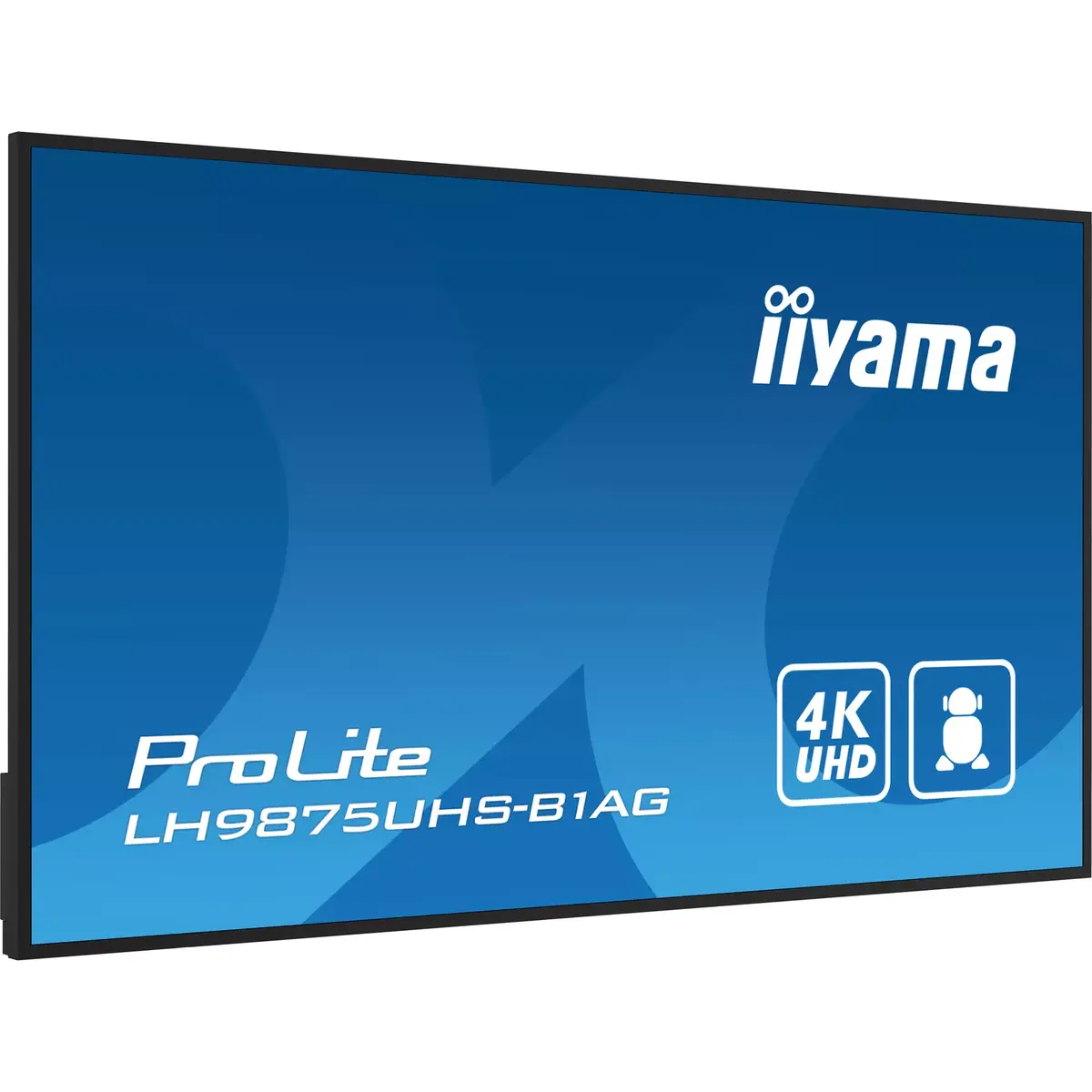 Монитор iiyama PROLITE Photo 6