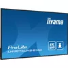 Монитор iiyama PROLITE Photo 6