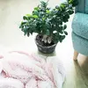 Springos HA7059 Holly Blanket 200x220 cm Photo 5