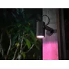 Viedais piekārtais apgaismojums Philips Hue White and colour ambience Lily Outdoor spot light 1742830P7 Photo 3