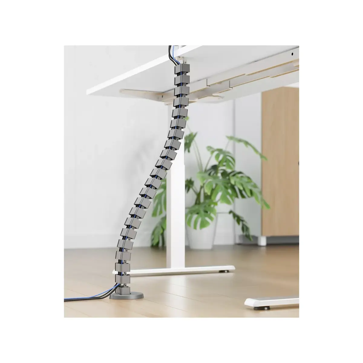 Kabeļu apvalks Equip Deluxe Cable Management Spine Photo 7