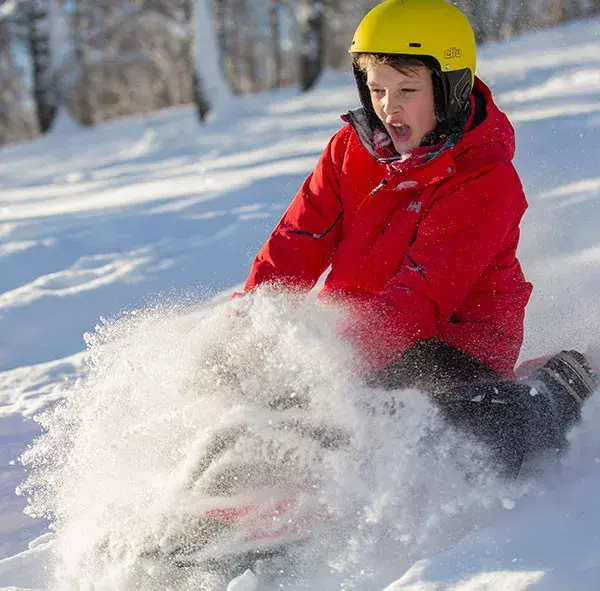 Снегокат Hamax Sno Fire Photo 2