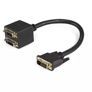 DVI-D splitter cable StarTech 0.3 m — DVI-D (M) to 2× DVI-D (F), black