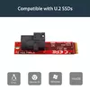 StarTech.com U.2 to M.2 PCI Express 3.0 x4 Host Adapter Photo 9