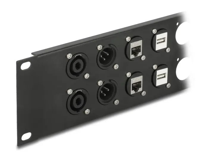 DeLOCK 10" D-Type Patch Panel 12 Port 2U Black Photo 3