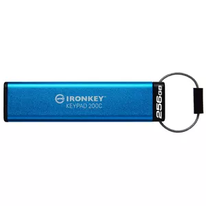 USB флеш-память Kingston 256GB USB-C Keypad 200C