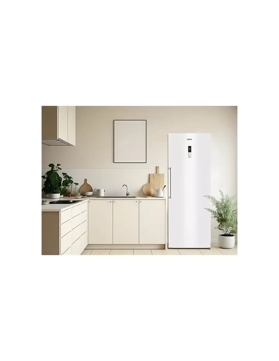 Frigelux RA445BE fridge 475 L No Frost Photo 4