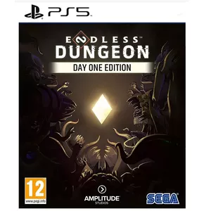 Spēle PS5 ENDLESS Dungeon LE