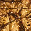Springos CL4096 — гирлянда 1000 LED Photo 8