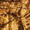 LED гирлянда Springos CL4082 17,5 м Photo 5