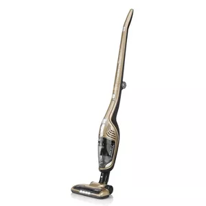Putekļu sūcējs-stiks ETA ETA745390000 2‑1 (sausa tīrīšana), ciklonisks, 0,55 l, litija jonu, zelta