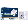 Блок питания Silverstone DA750R Gold Photo 14