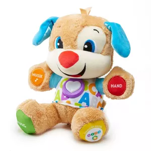 Fisher-Price Laugh & Learn FPM50 learning toy