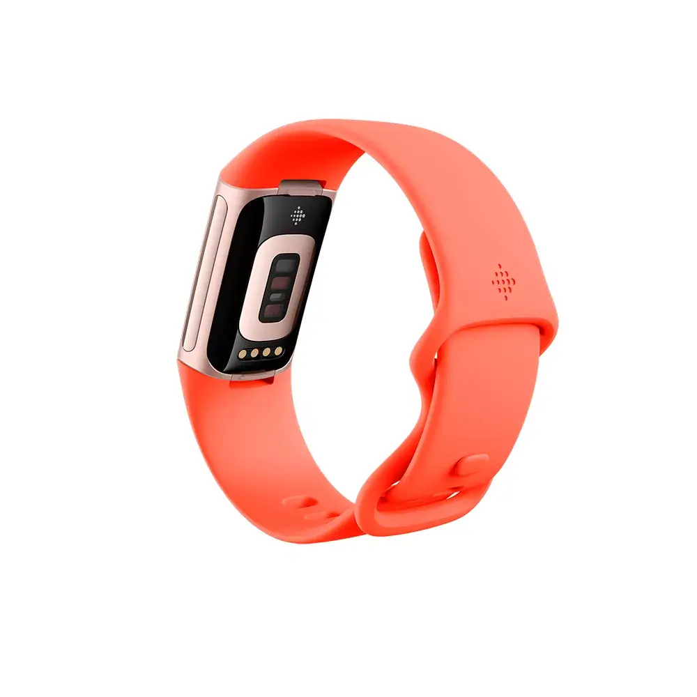 Фитнес-браслет Fitbit Charge 6 Photo 3