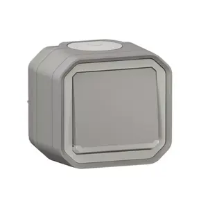 Legrand 069712L Surface-Mounted Staircase Switch with Indicator, 10 AX, 250V AC, Grey