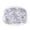String Lights Springos CL0079 — 100 LED Photo 2