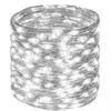 String Lights Springos CL0079 — 100 LED Photo 8