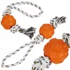 Жевательная игрушка для собак Springos PA1069 Photo 3